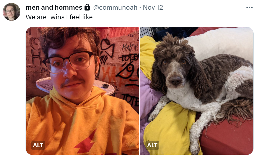 Screenshot of twitter (@communoah). Picture of Noah in a hoodie that looks like the Rush bottle, with curly brown hair. Then Piero, also with curly brown hair, in a traditional poodle haircut.